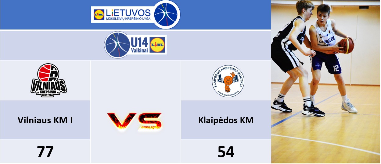 2008METAIPRIESVILNIAUSKMI